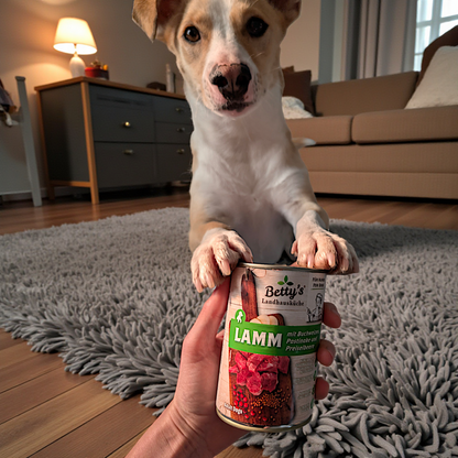 Betty’s LHK - Lamm mit Buchweizen, Pastinake & Preiselbeere