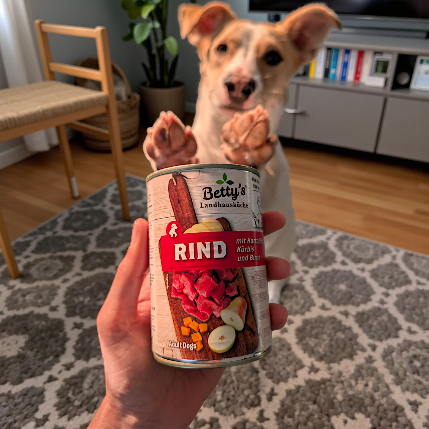 Betty’s LHK Dog - Rind mit Kartoffel, Kürbis & Birne