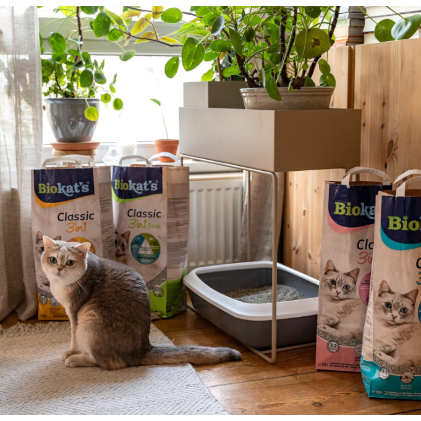 Biokat’s Classic Fresh Cotton 10l - Langanhaltende Frische, starke Klumpen, 3-Korn-Technologie