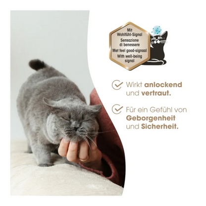 Biokat's Diamond Care Attracting & Care - Premium-Katzenstreu mit Wohlfühl-Duft, Aktivkohle & Aloe Vera
