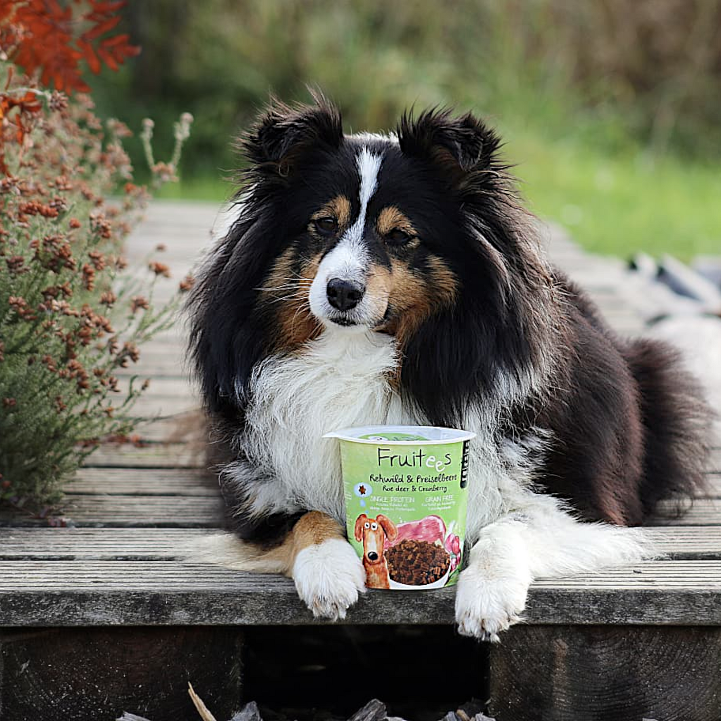Bosch Fruitees - Rehwild & Preiselbeere