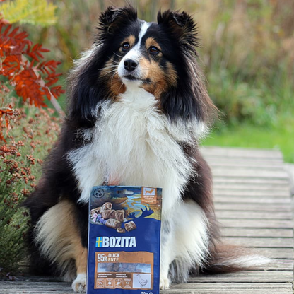 Bozita - Meaty Bites Ente