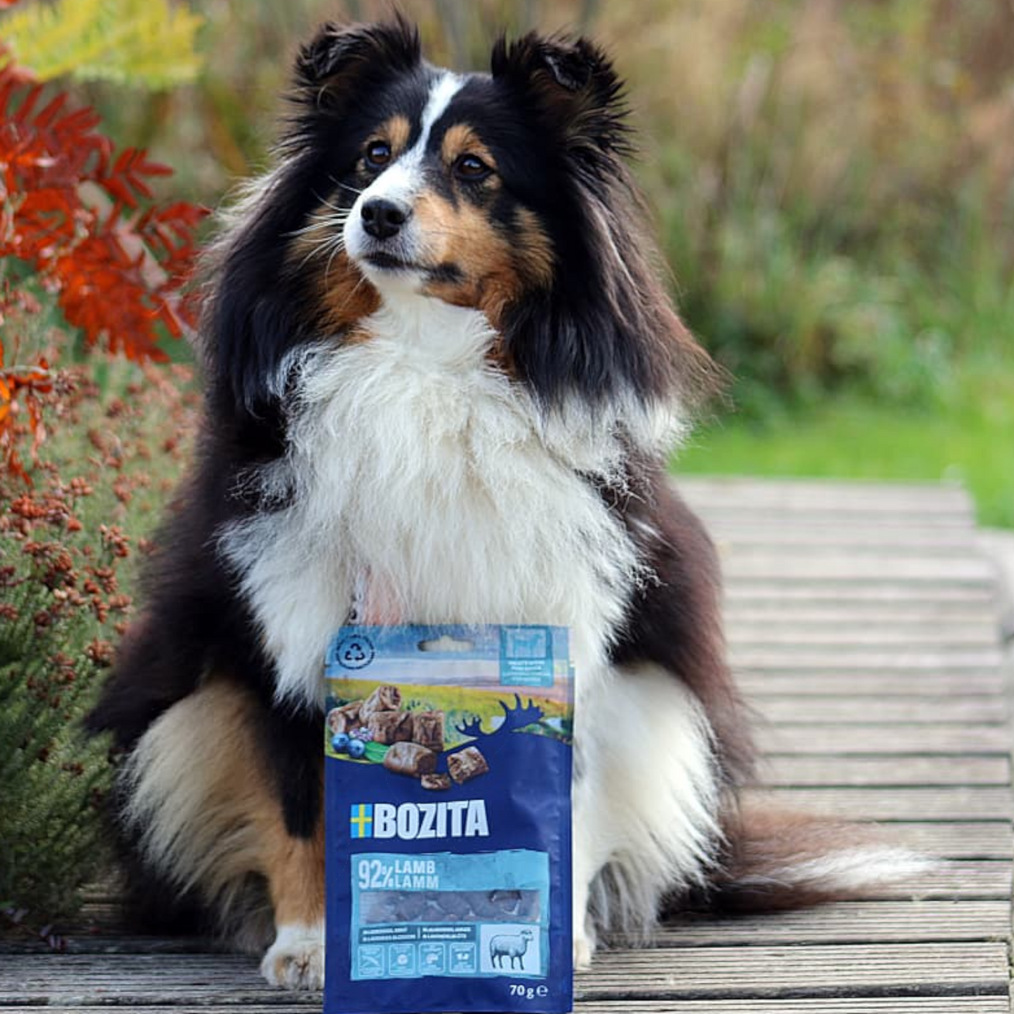 Bozita - Meaty Bites Lamm