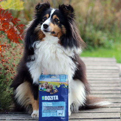 Bozita - Meaty Bites Lamm