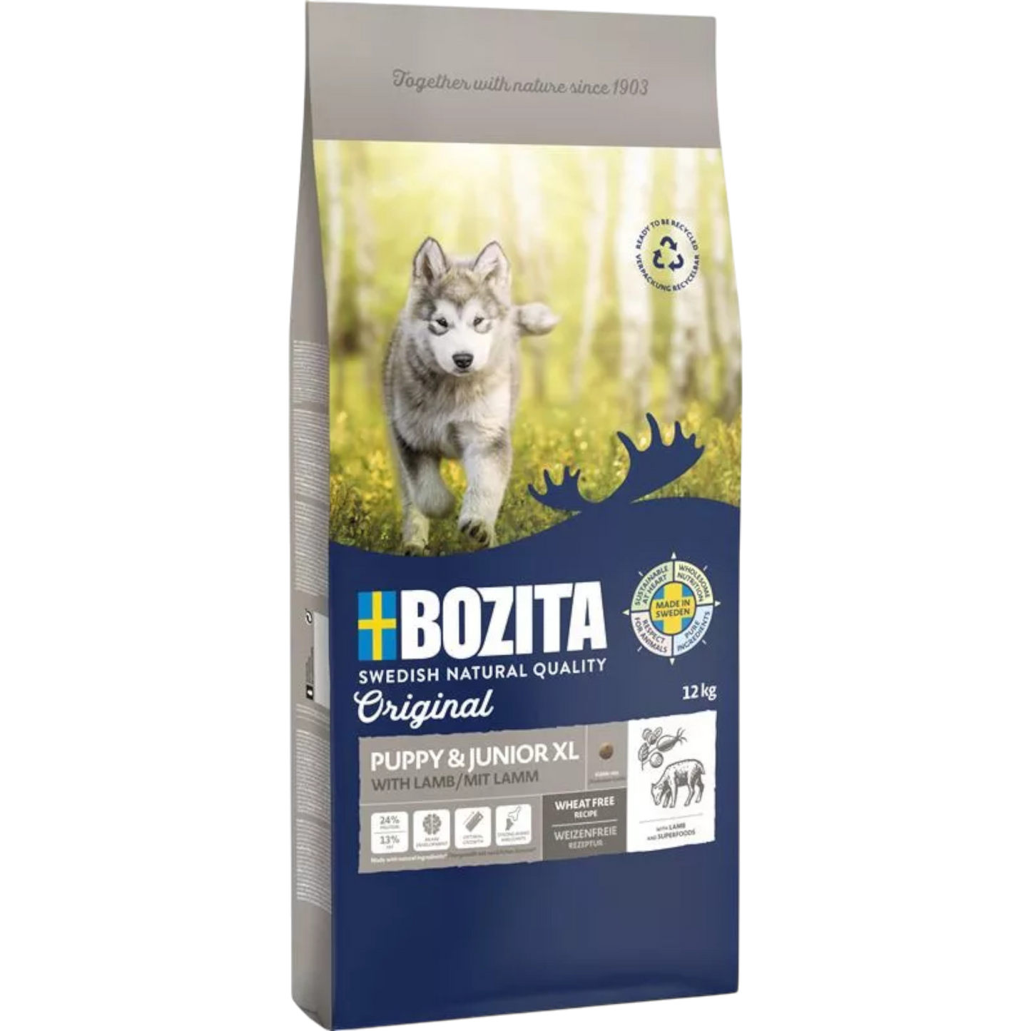 Bozita Original Puppy & Junior XL mit Lamm