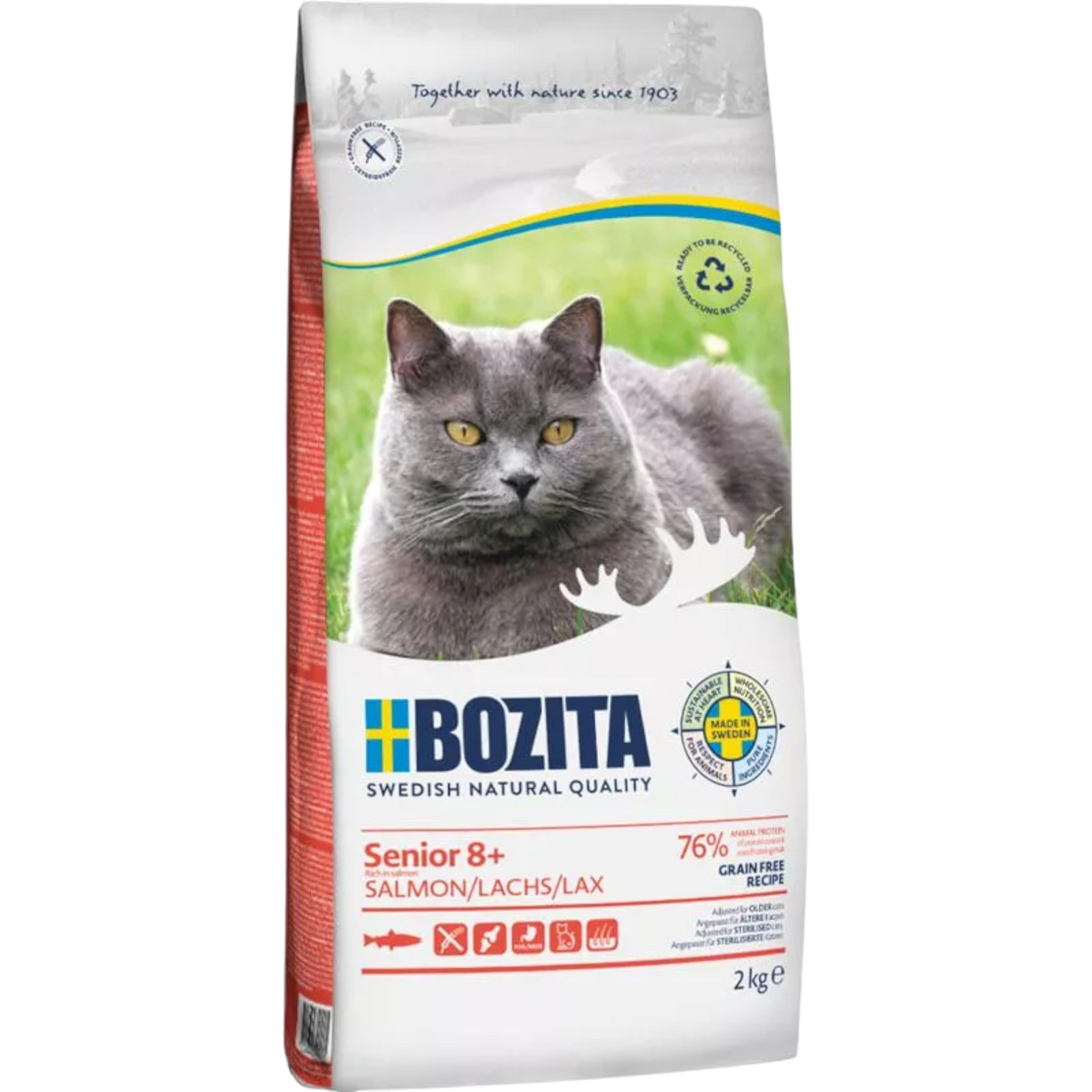 Bozita Senior 8+ Grain Free mit Lachs