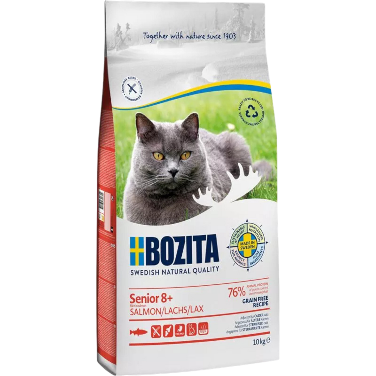 Bozita Senior 8+ Grain Free mit Lachs