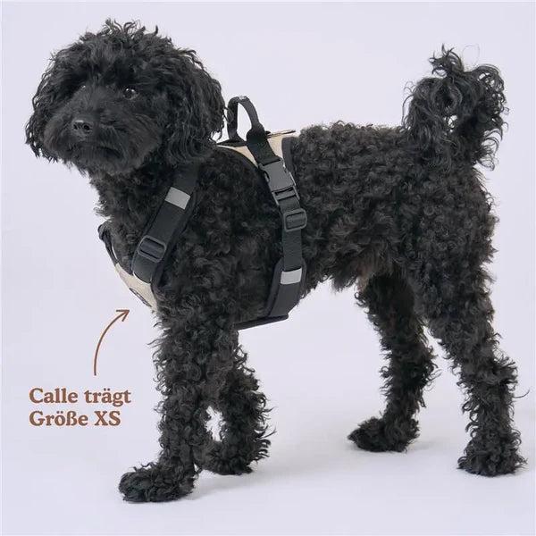 Redoggo Geschirr – Ergonomisch, sicher & nachhaltig