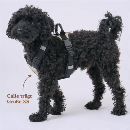 Redoggo Geschirr – Ergonomisch, sicher & nachhaltig