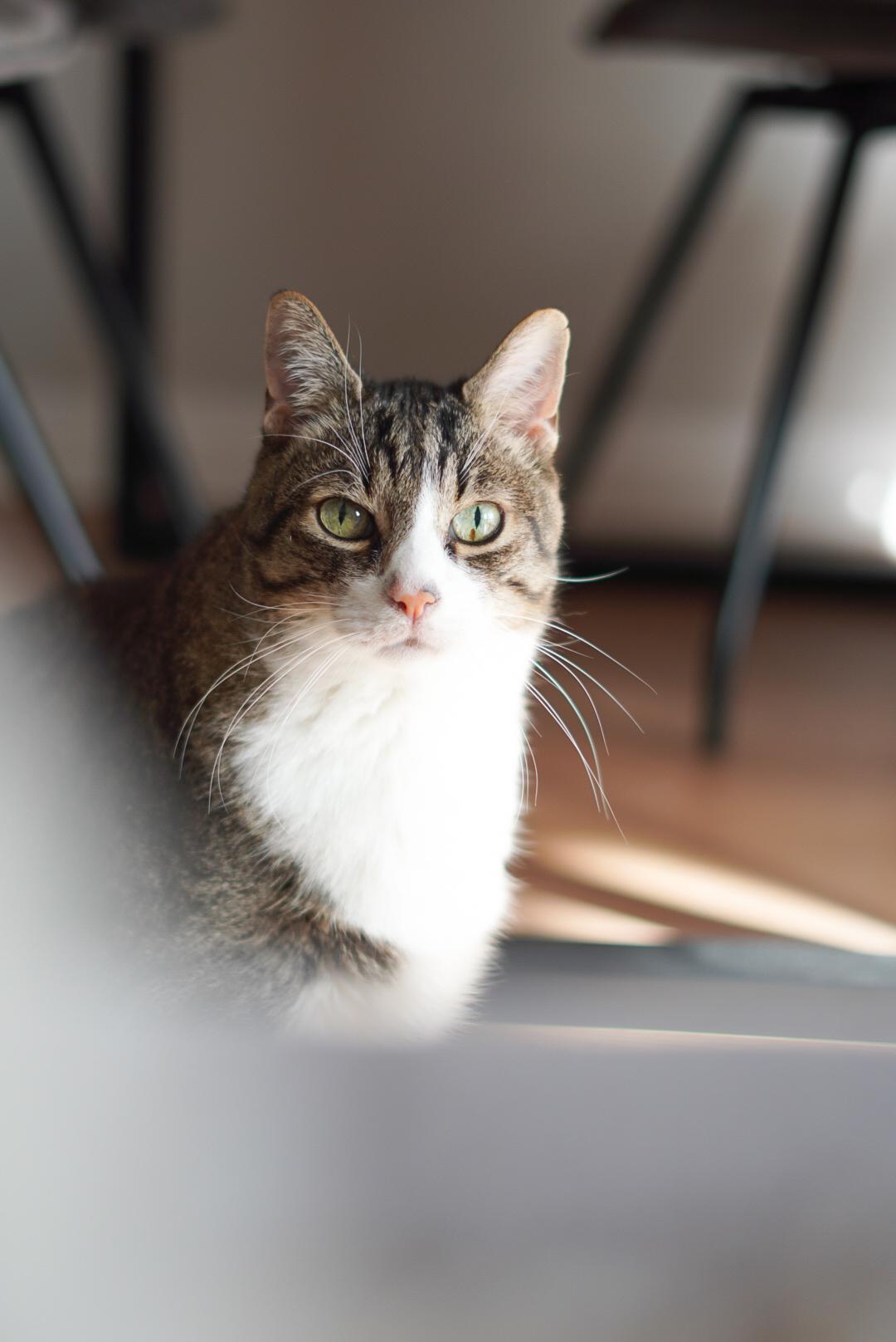 Charlie