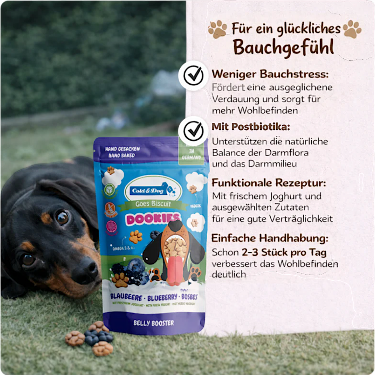 Cold & Dog - Dookies Heidelbeere