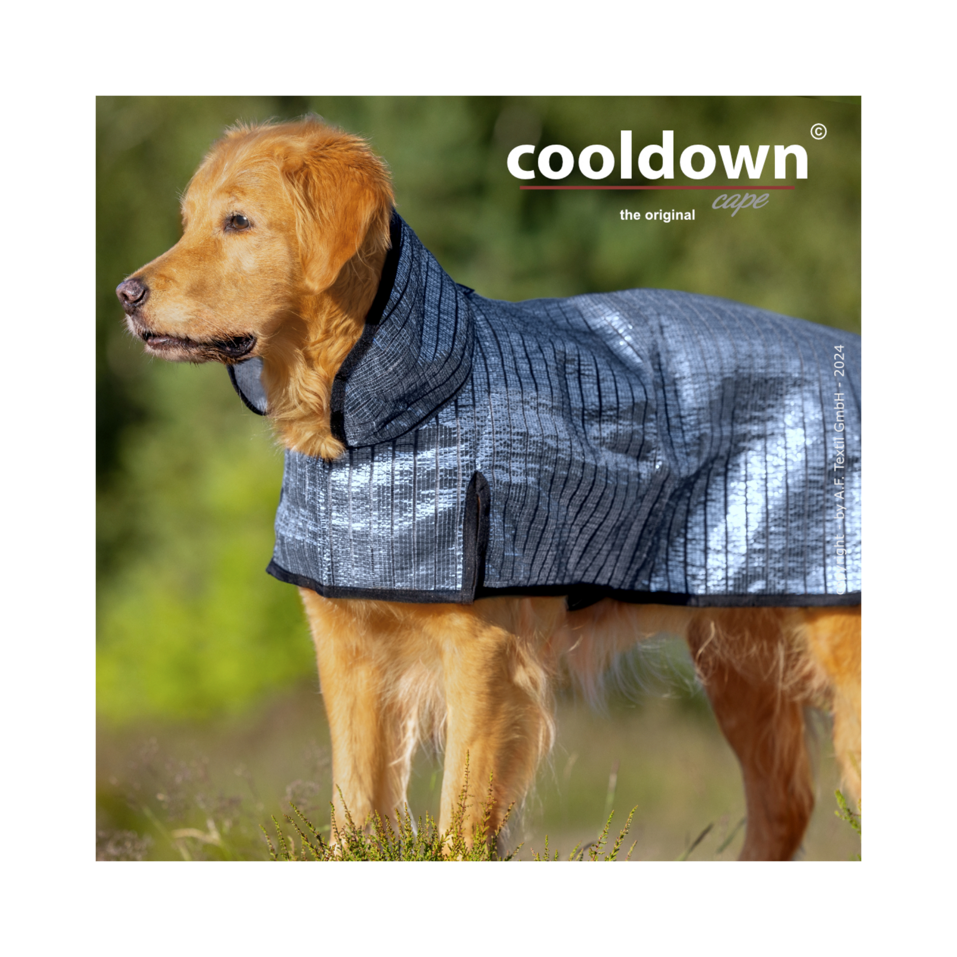 sonnensegel für hunde Cooldown Cape – Passiver Sonnenschutz für deinen Hund – Dein Fellnasen Shop