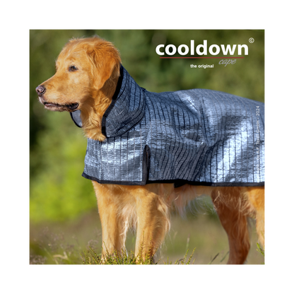 Cooldown Cape Big – Passiver Sonnenschutz für deinen Hund
