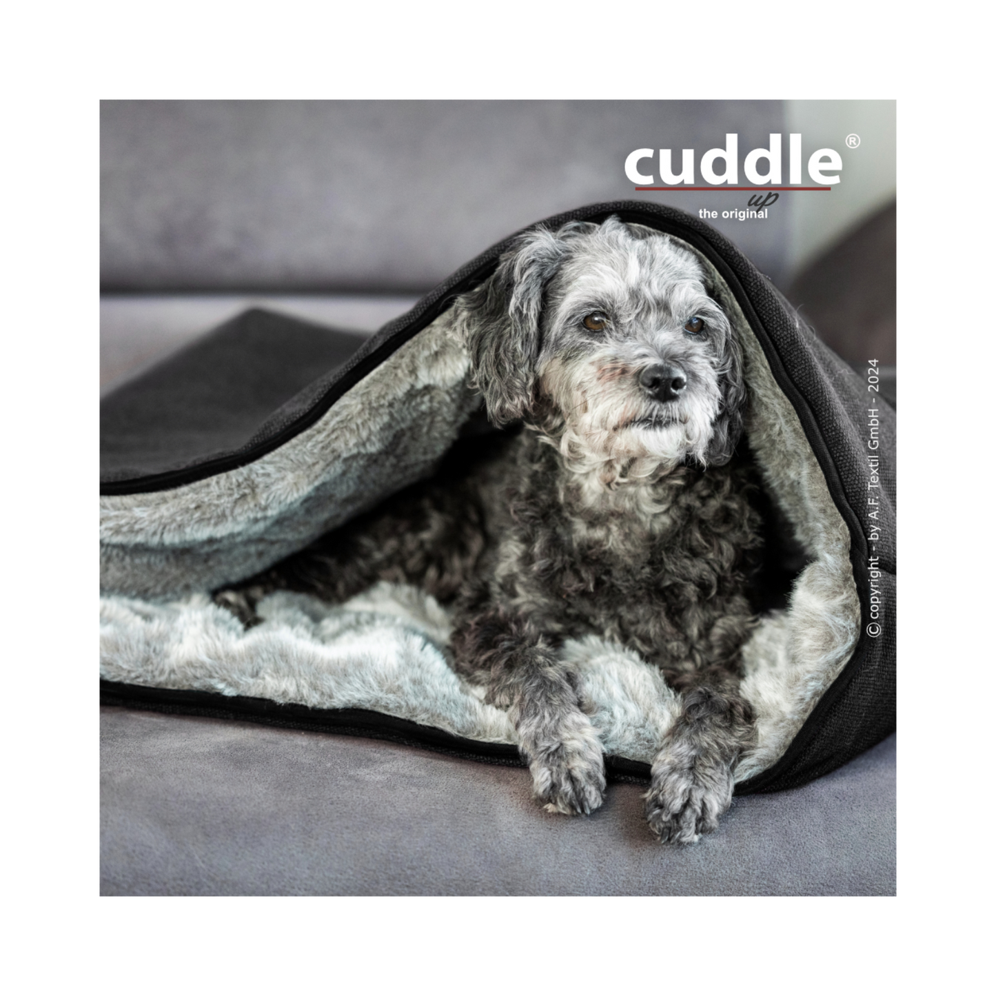 Cuddle Up – Der wandelbare Hundeliegeplatz