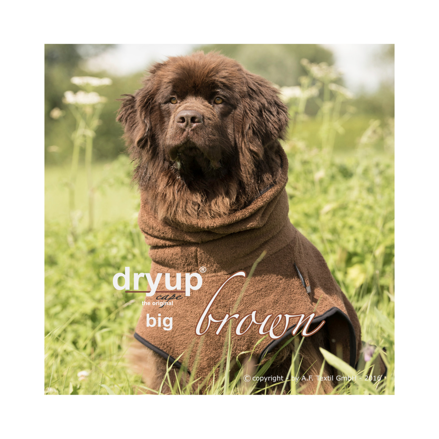 DRYUP CAPE Big – Hundebademantel für große Hunderassen