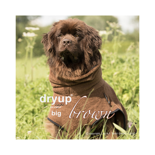 DRYUP CAPE Big – Hundebademantel für große Hunderassen