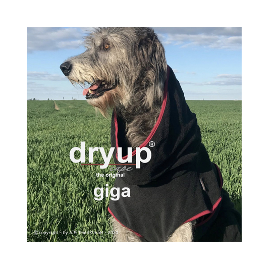 DRYUP CAPE Giga – Hundebademantel für besonders große Hunde