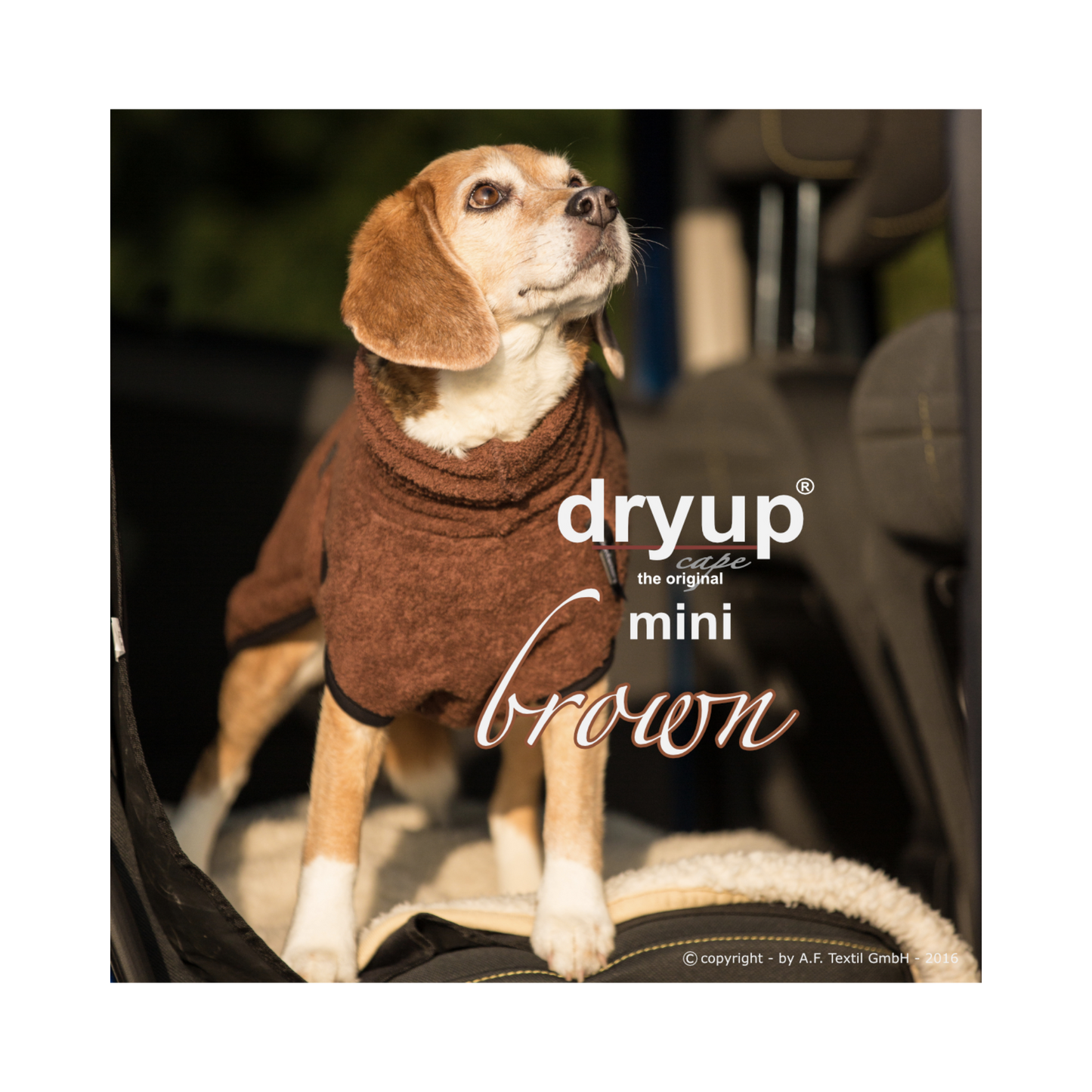 DRYUP CAPE Mini – Hundebademantel für die Kleinen und Kleinsten