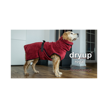 DRYUP CAPE Royal – Hundebademantel für stilvolle Trocknung