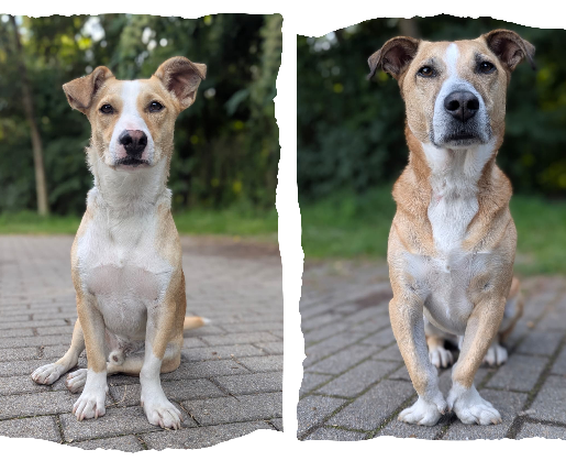 Denis & Finn