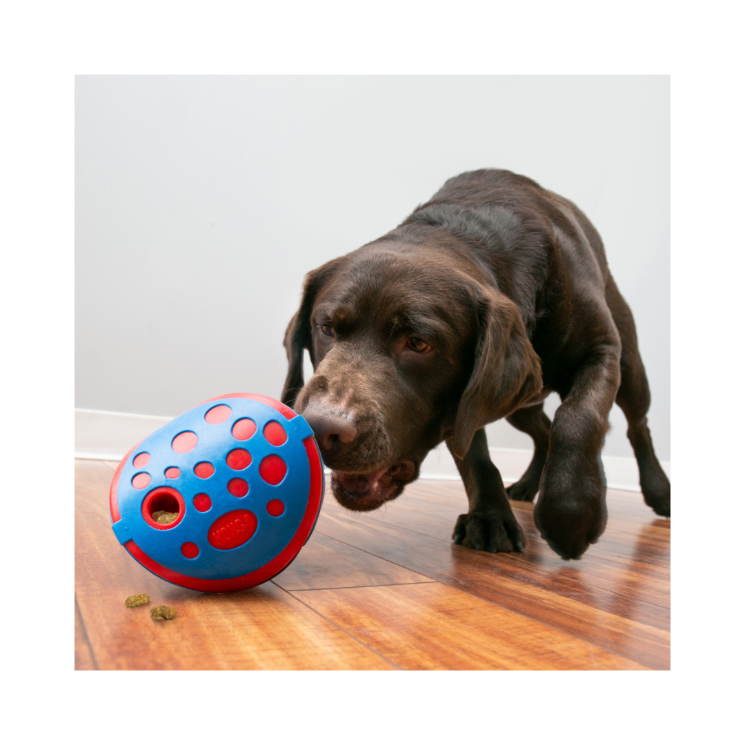 KONG Belohnungsspielzeug Wally – Snackball & Slow Feeder