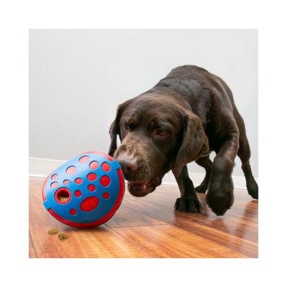 KONG Belohnungsspielzeug Wally – Snackball & Slow Feeder