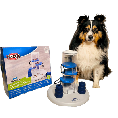 Dog Activity Gambling Tower – Strategietraining für schlaue Spürnasen