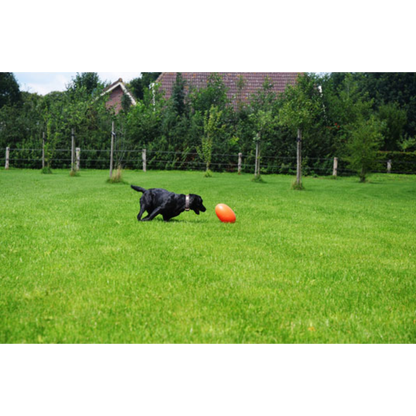 Dog Comets Pan-Stars Treibei – schwimmfähiges Spielzeug mit unvorhersehbarer Bewegung