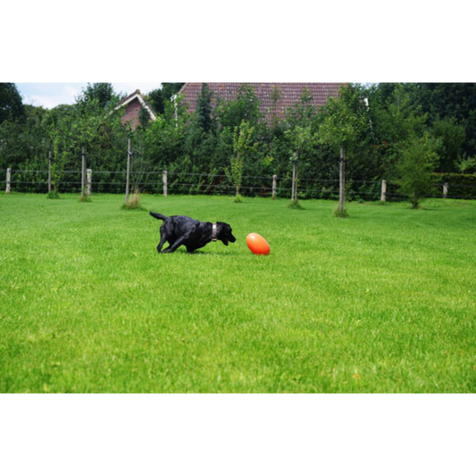 Dog Comets Pan-Stars Treibei – schwimmfähiges Spielzeug mit unvorhersehbarer Bewegung