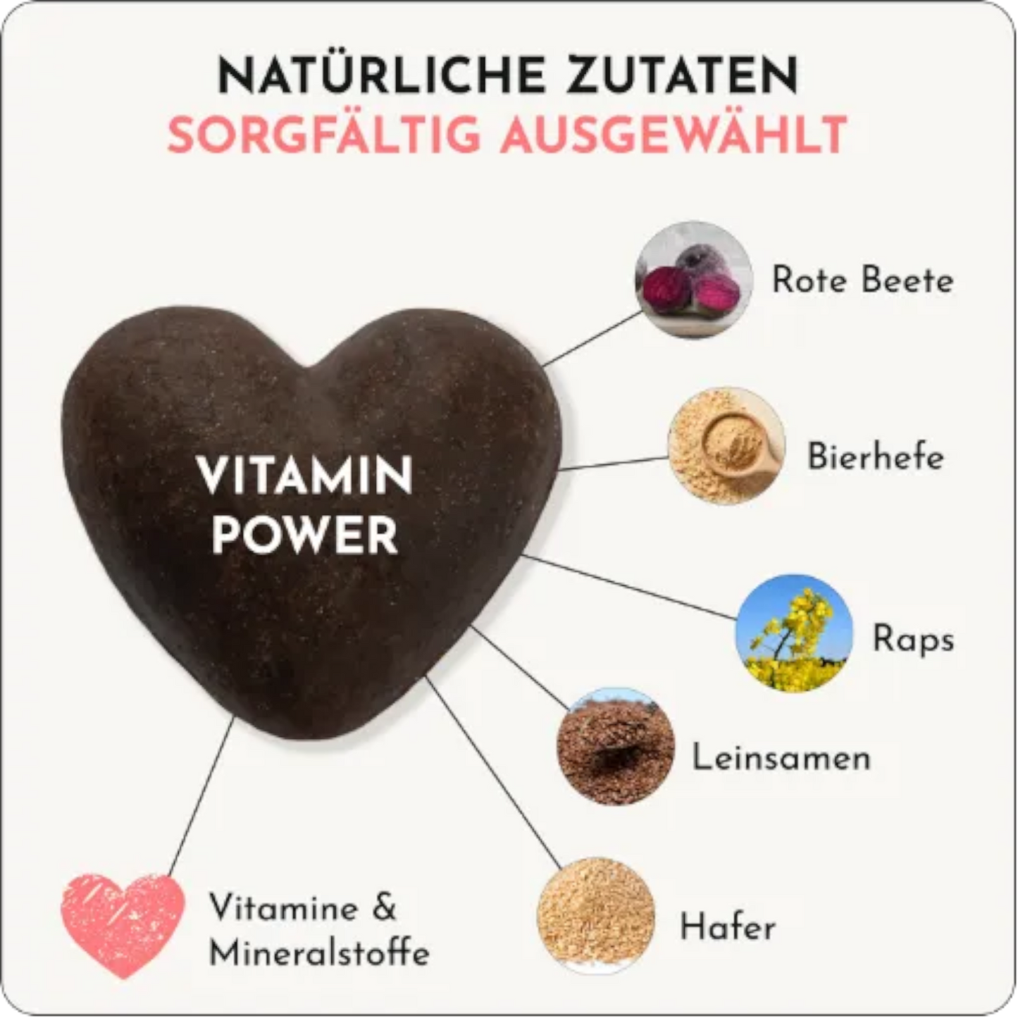 Doggy Love - Vitamin Power Vegan