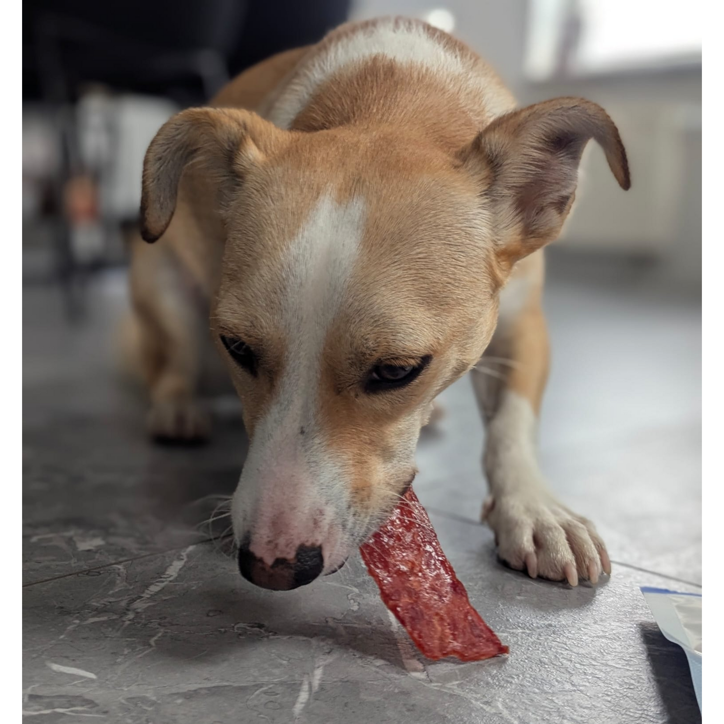 Dokas Dog - Entenbrust getrocknet