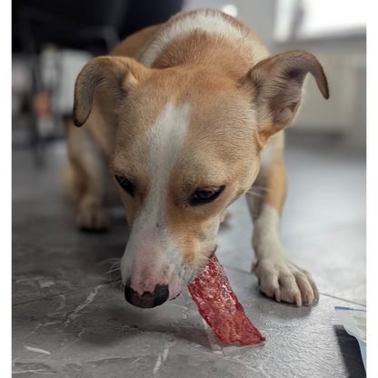 Dokas Dog - Entenbrust getrocknet