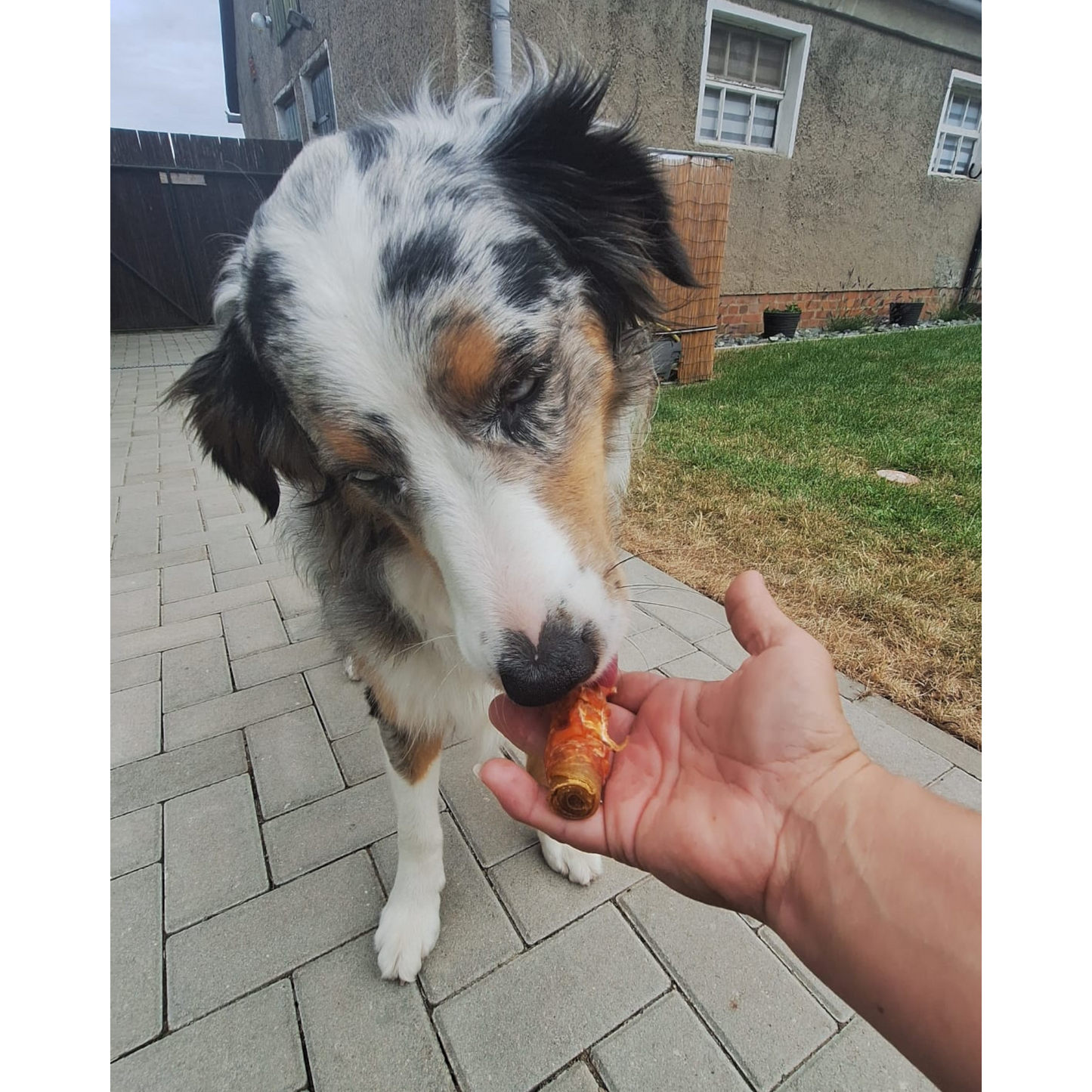 Dokas Dog - Hühnerbrust Kaurolle