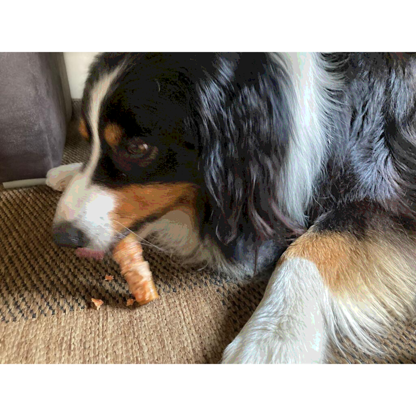 Dokas Dog - Hühnerbrust Kaurolle