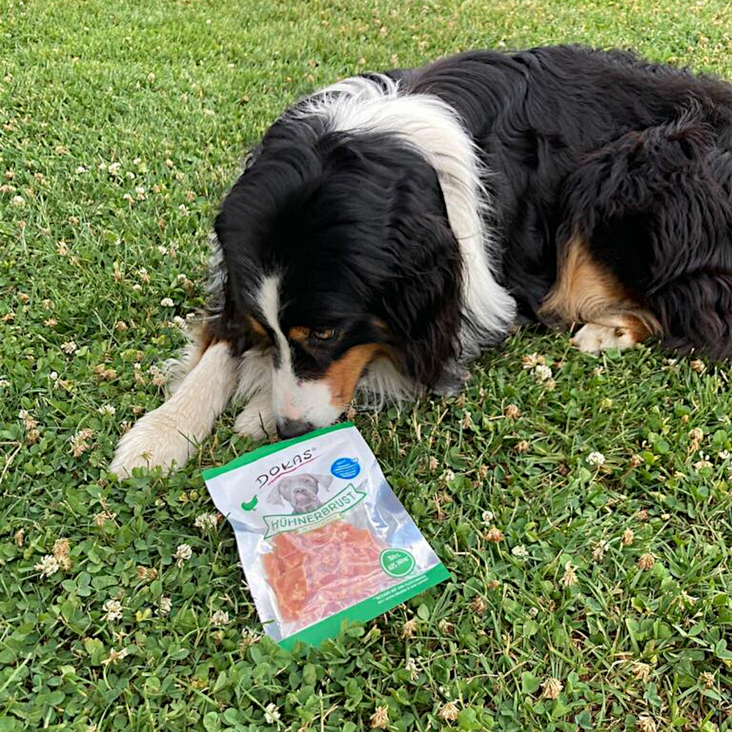 Dokas Dog - Hühnerbrust Stückchen