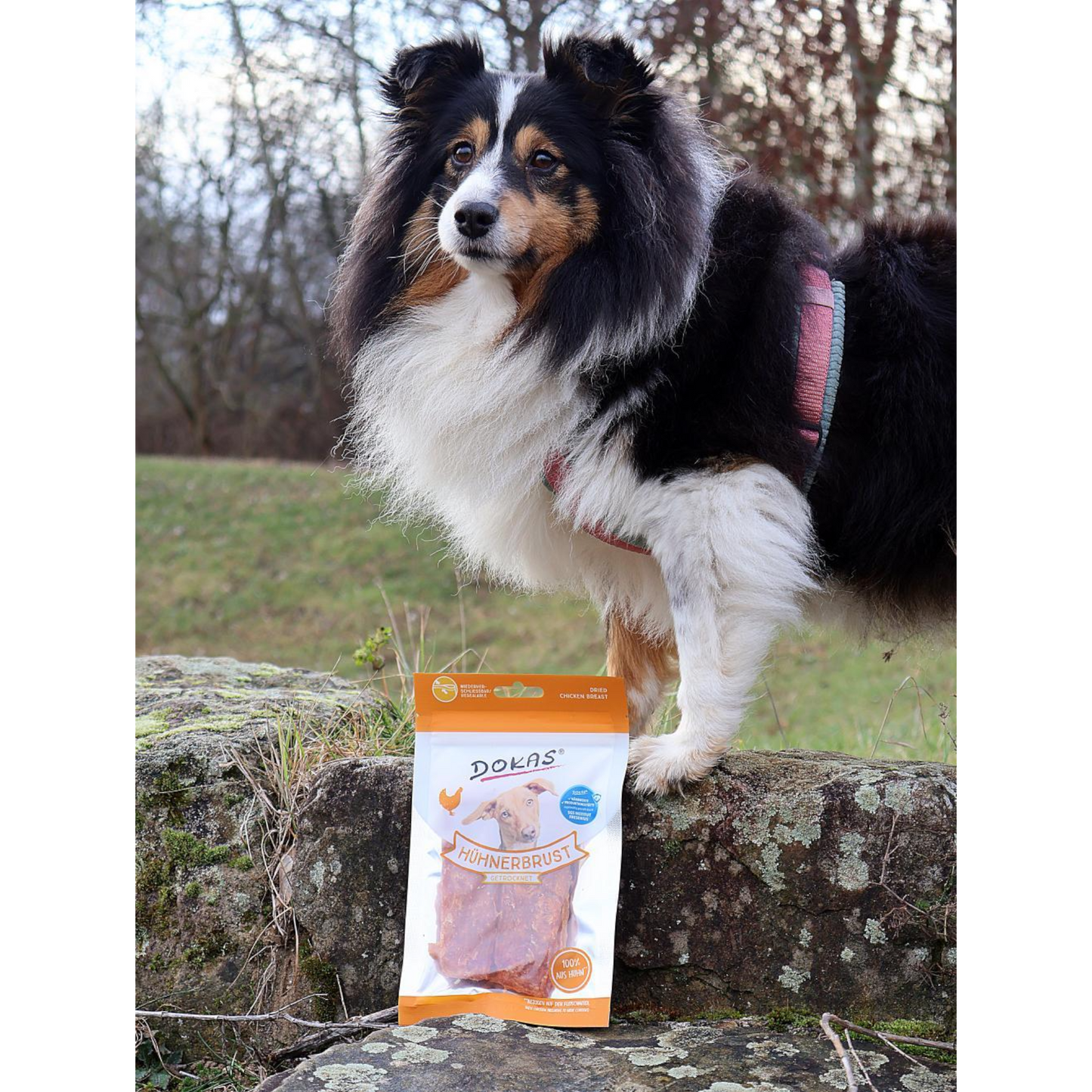 Dokas Dog - Hühnerbrust getrocknet