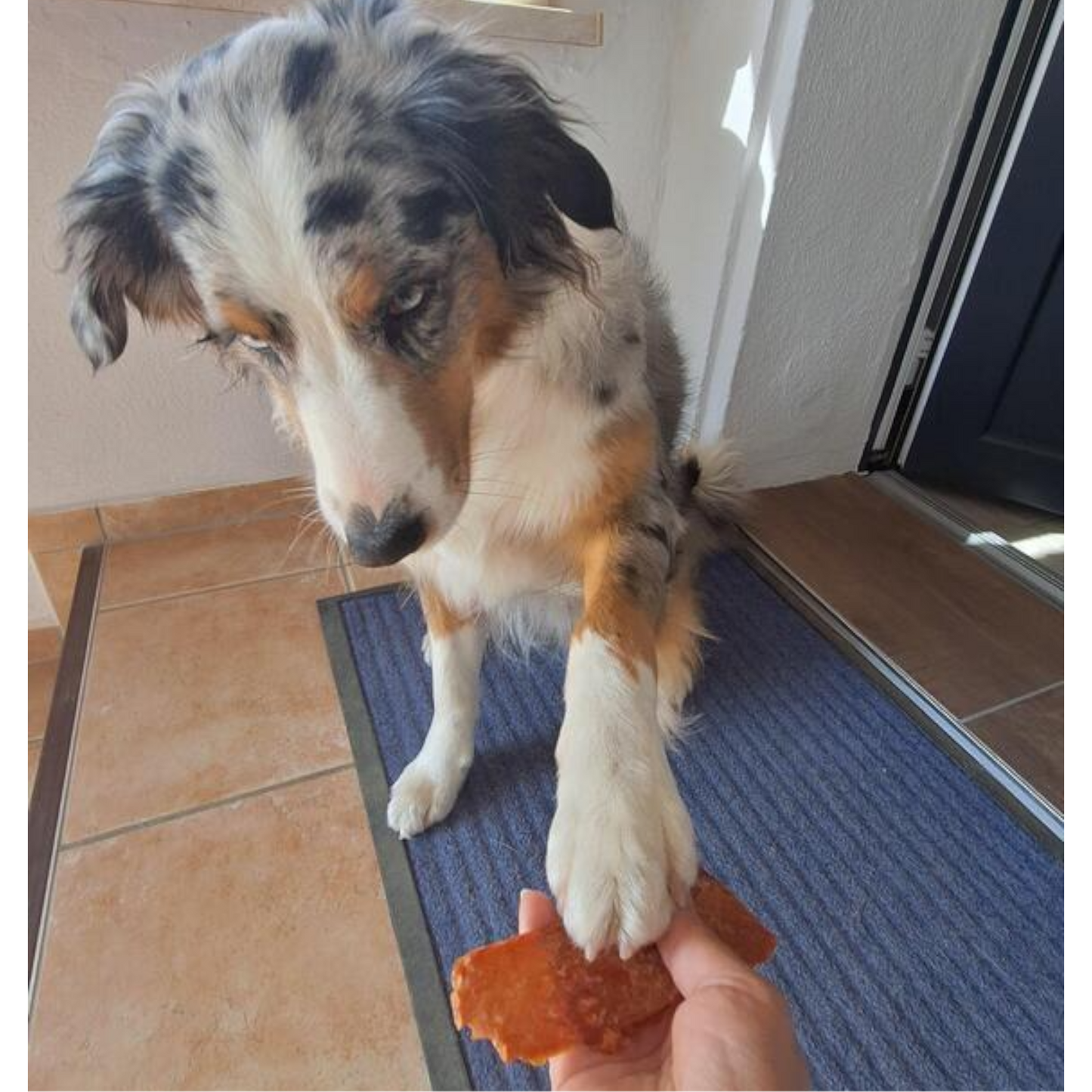 Dokas Dog - Hühnerbrust getrocknet