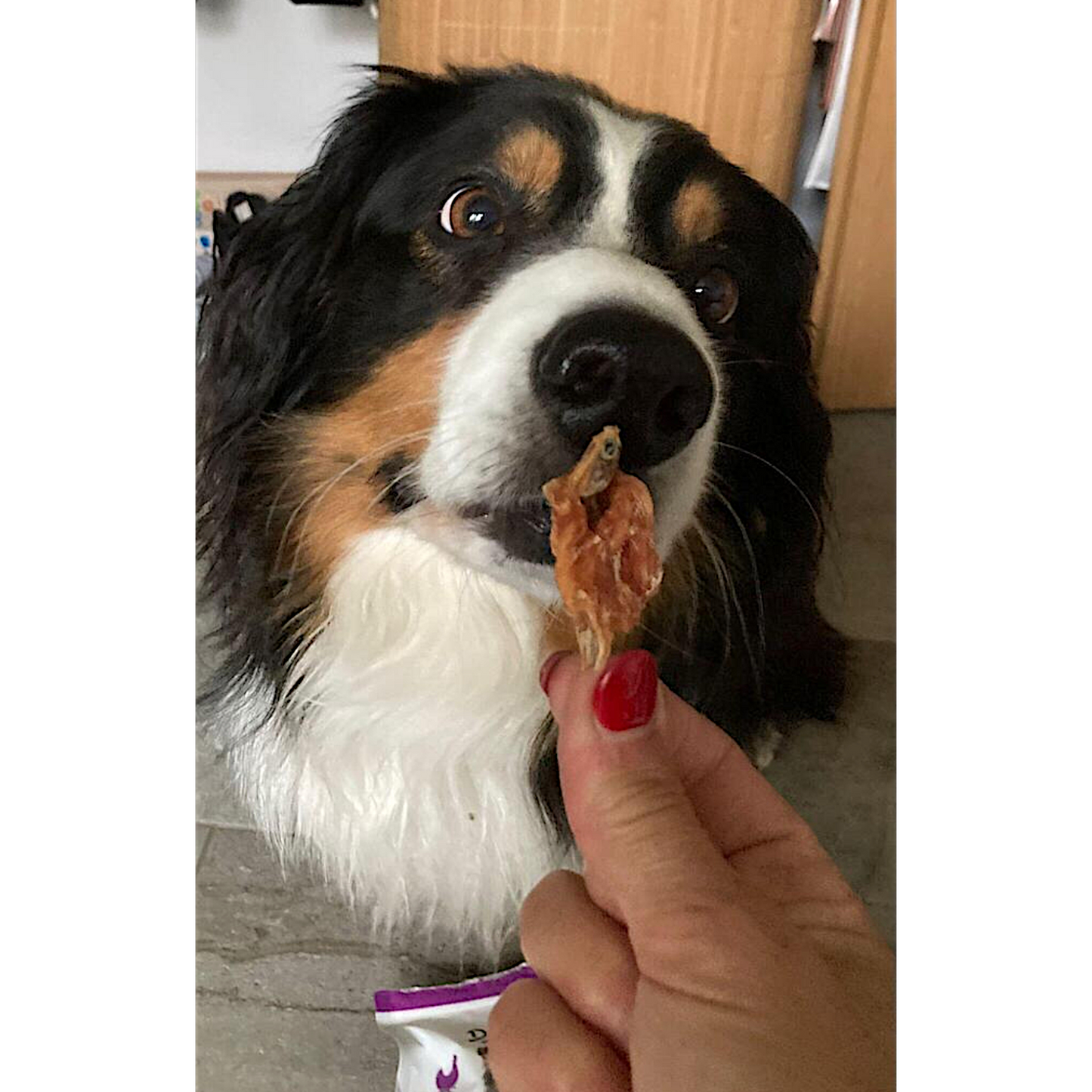 Dokas Dog - Hühnerbrust mit Fisch