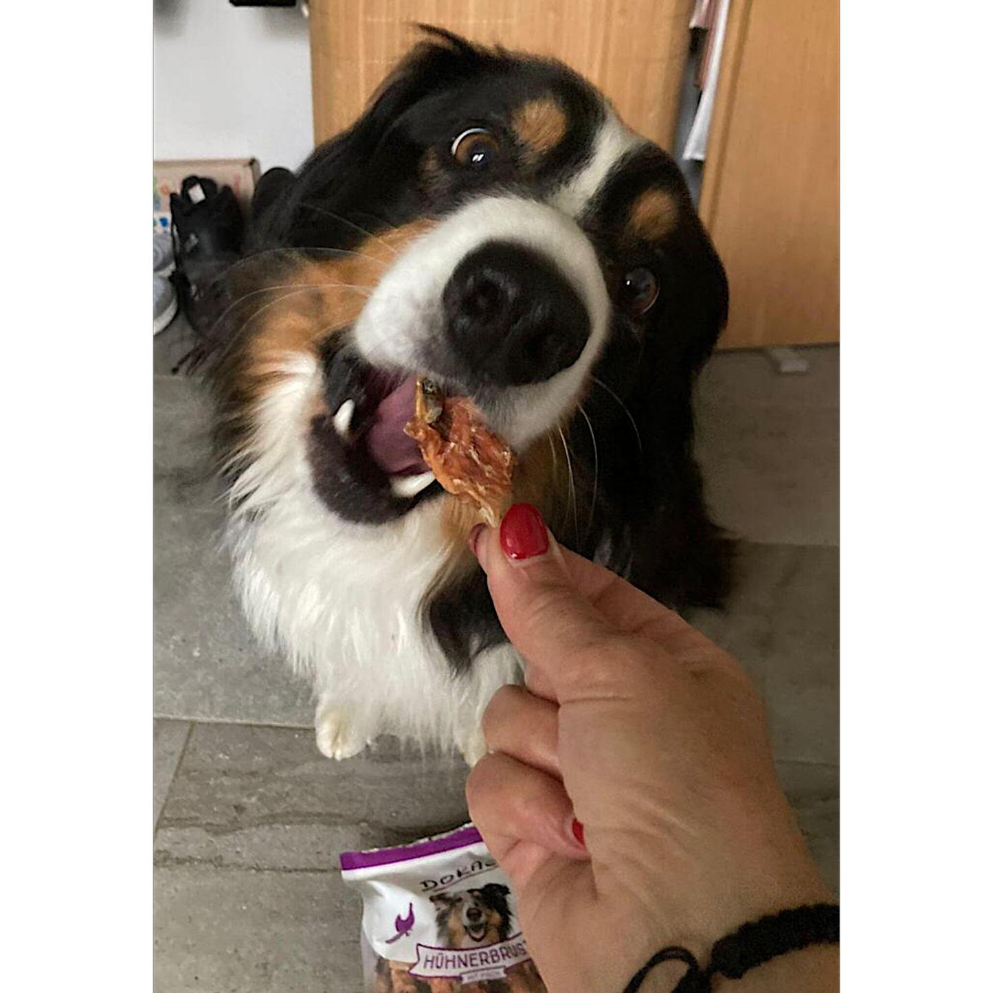 Dokas Dog - Hühnerbrust mit Fisch