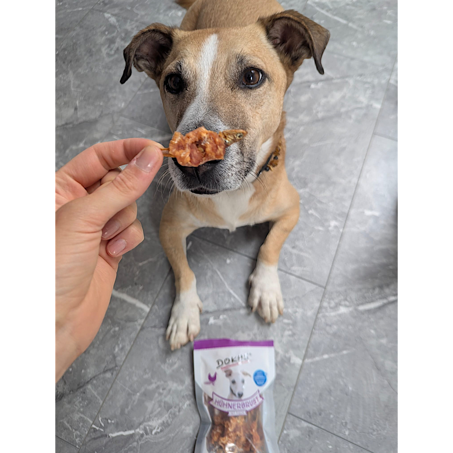 Dokas Dog - Hühnerbrust mit Fisch