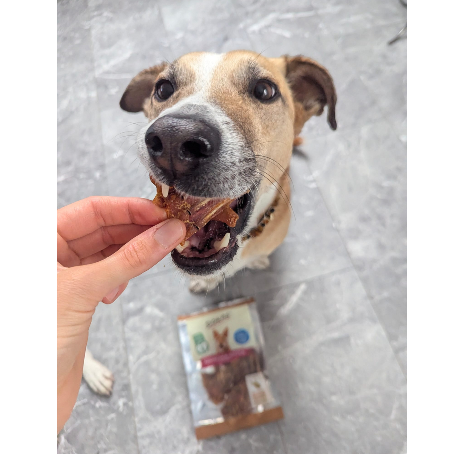 Dokas Dog - Kaninchen-Rippen mit Fleisch