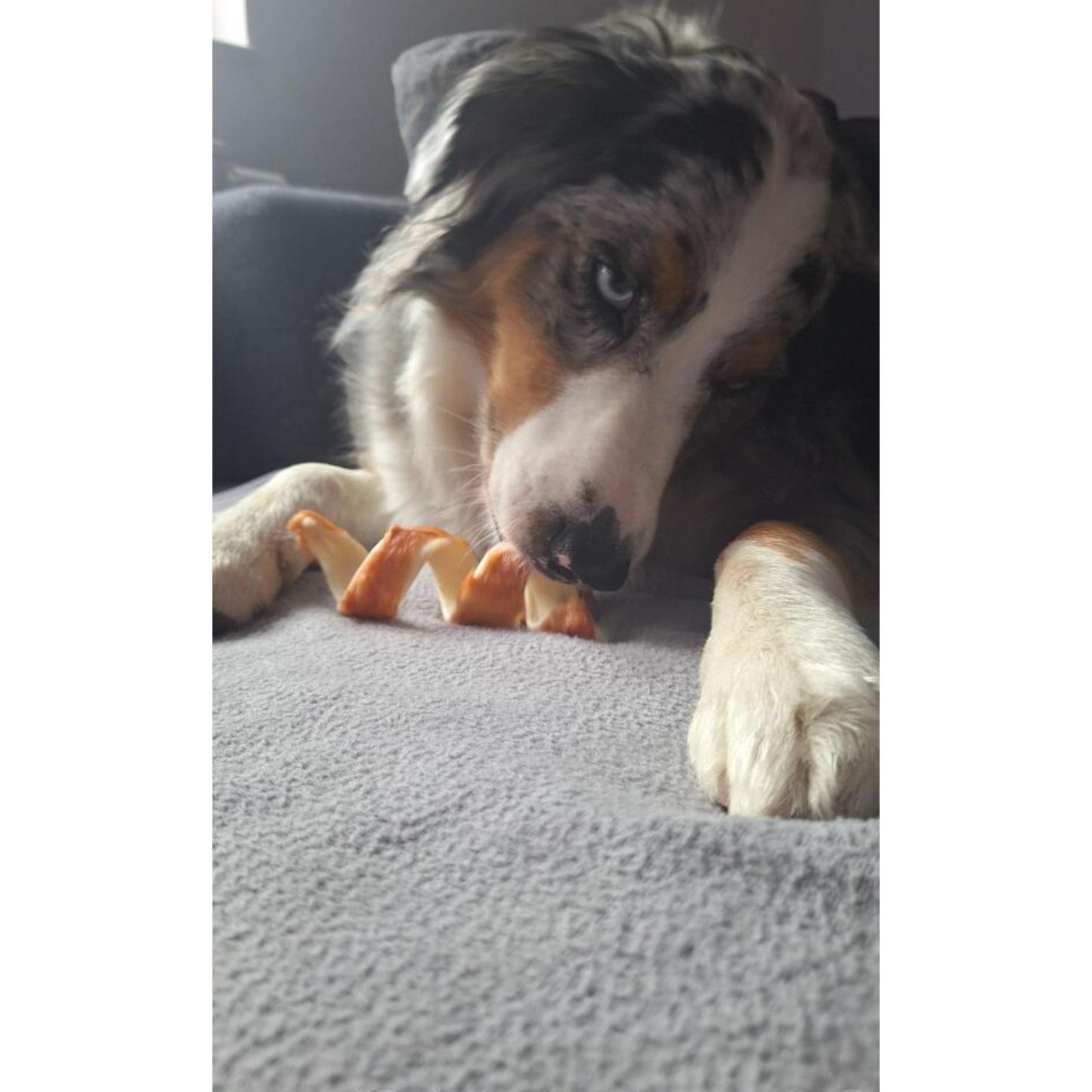 Dokas Dog - Kau-Spirale Hühnerbrust