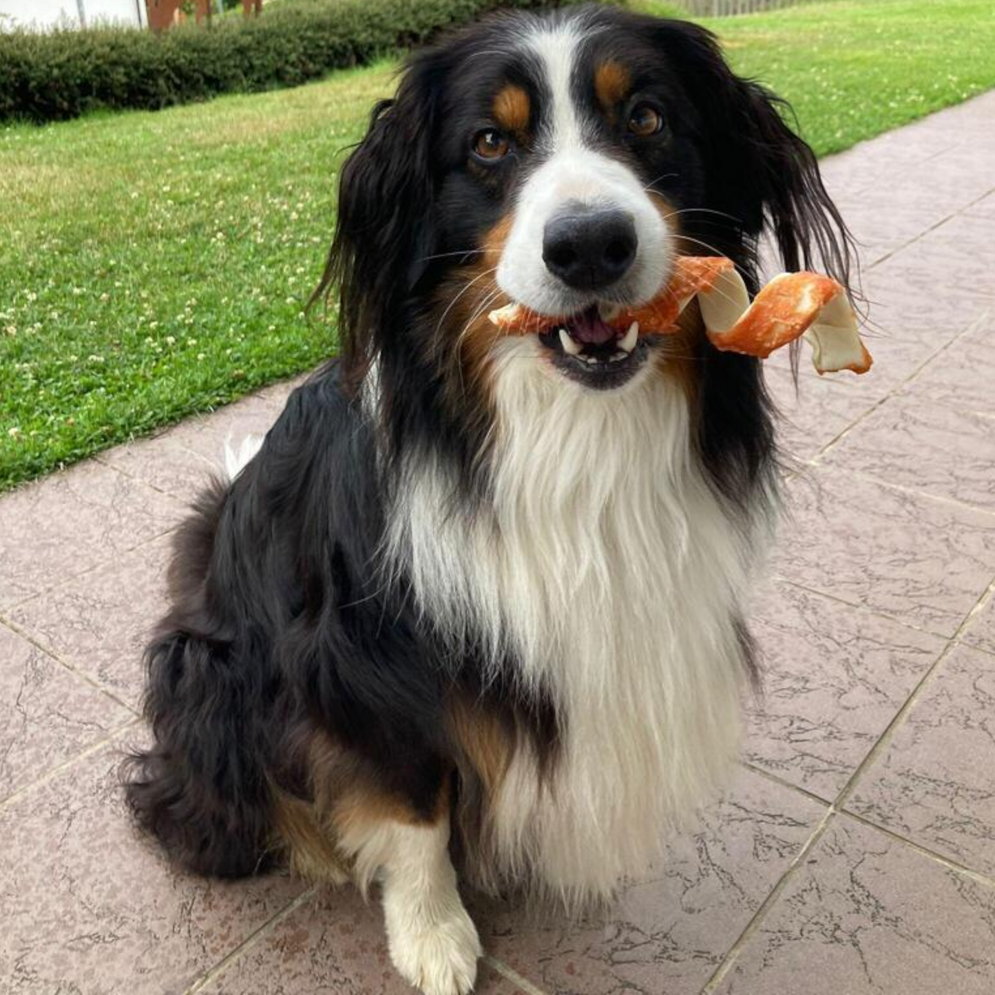 Dokas Dog - Kau-Spirale Hühnerbrust