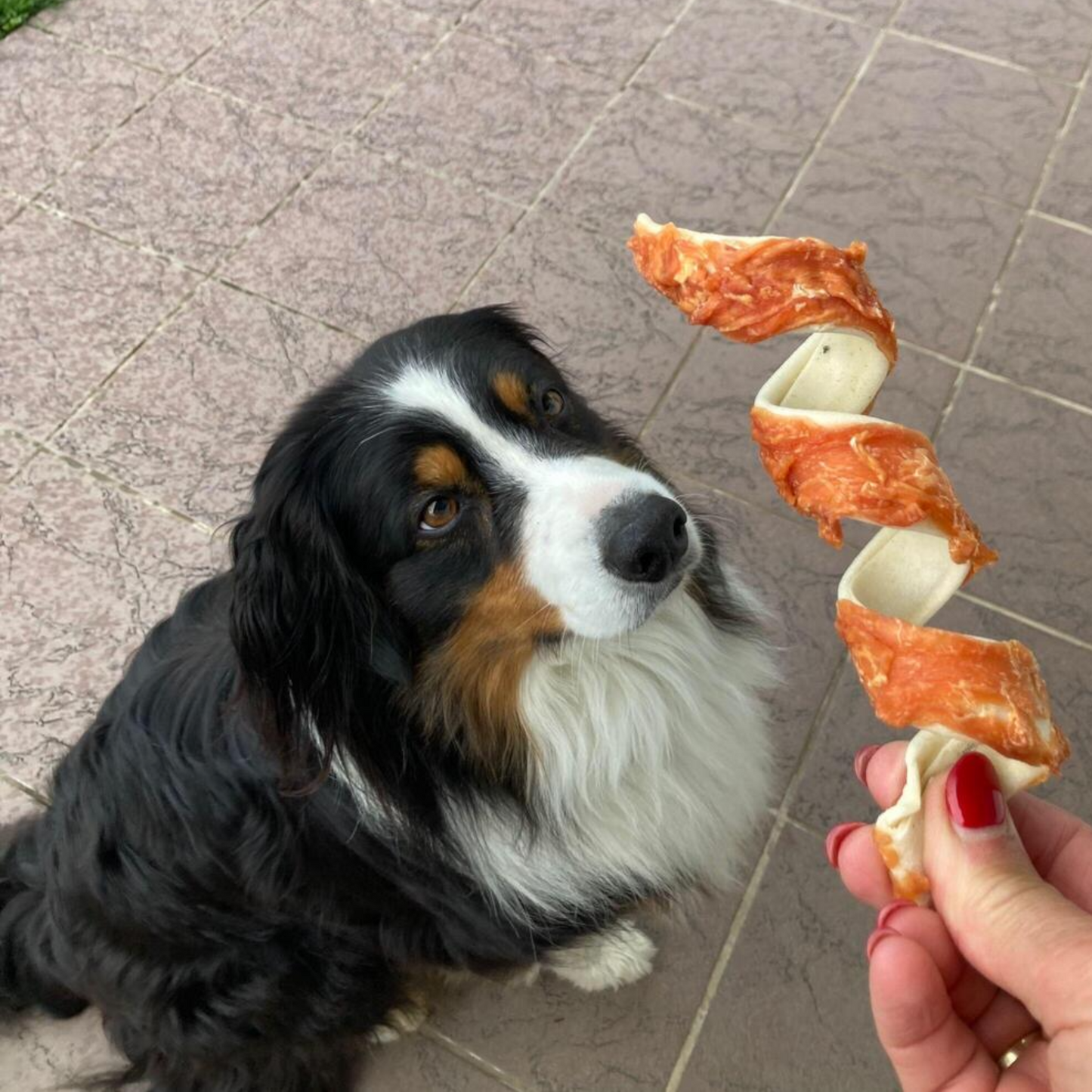 Dokas Dog - Kau-Spirale Hühnerbrust