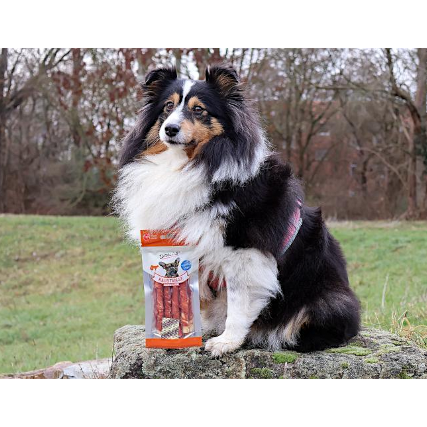 Dokas Dog - Kaustange mit Entenbrust