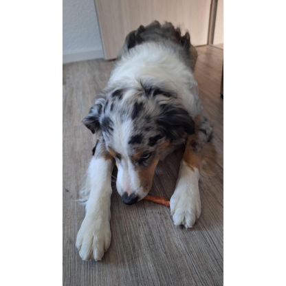 Dokas Dog - Kaustange mit Hühnerbrust
