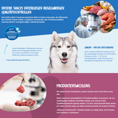 Dokas Dog - Churros mit Rinderleber