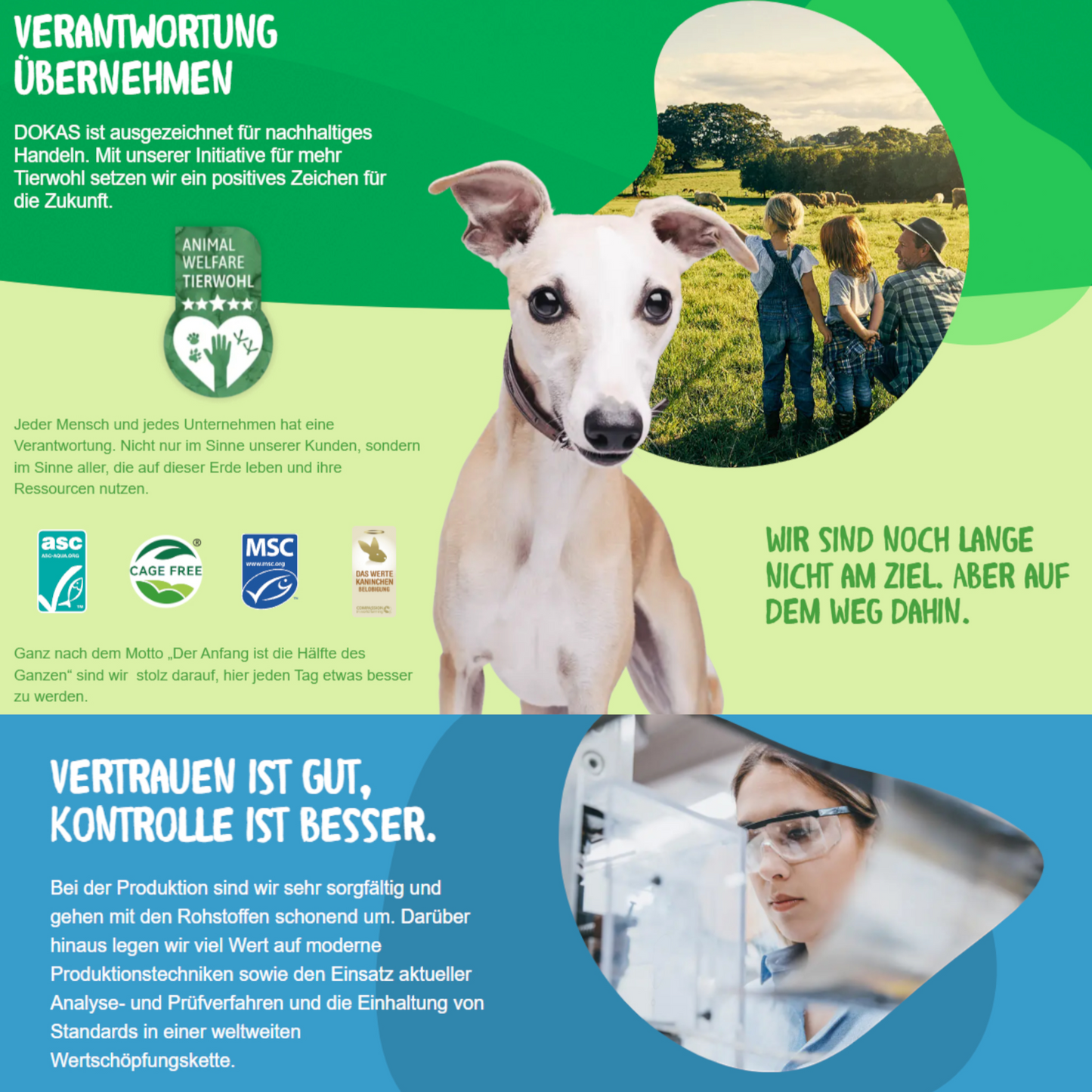 Dokas Dog - Churros mit Rinderleber