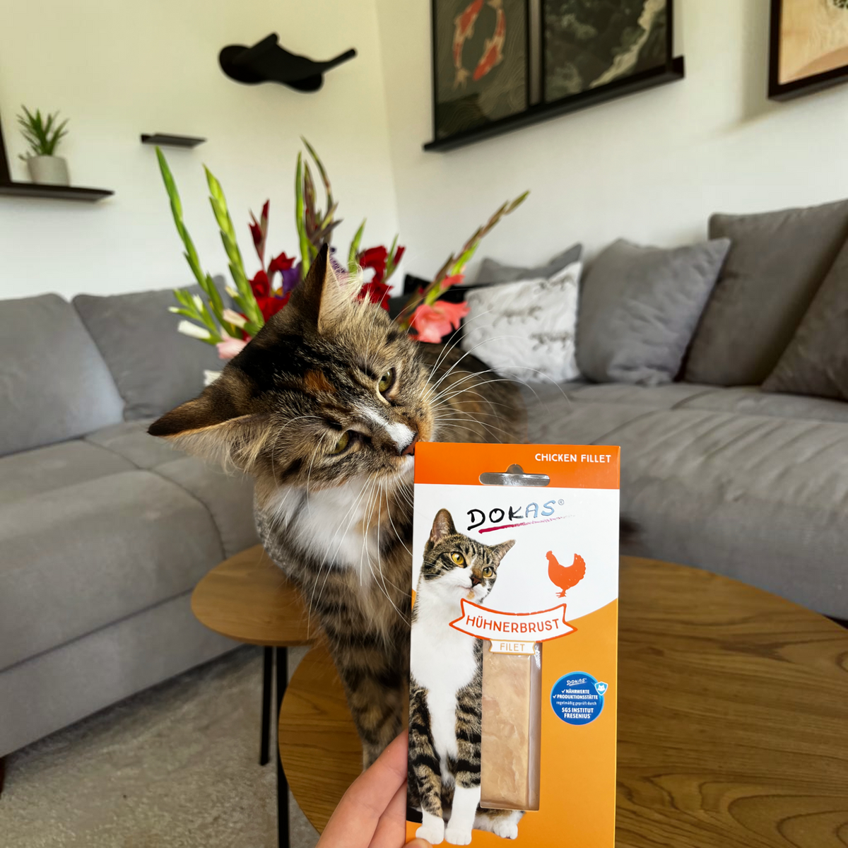 Dokas Cat - Hühnerbrust Filet