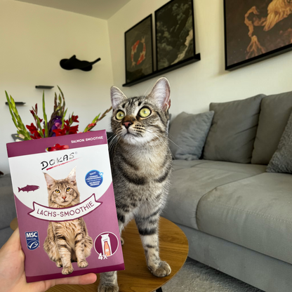 Dokas Cat - Lachs-Smoothie